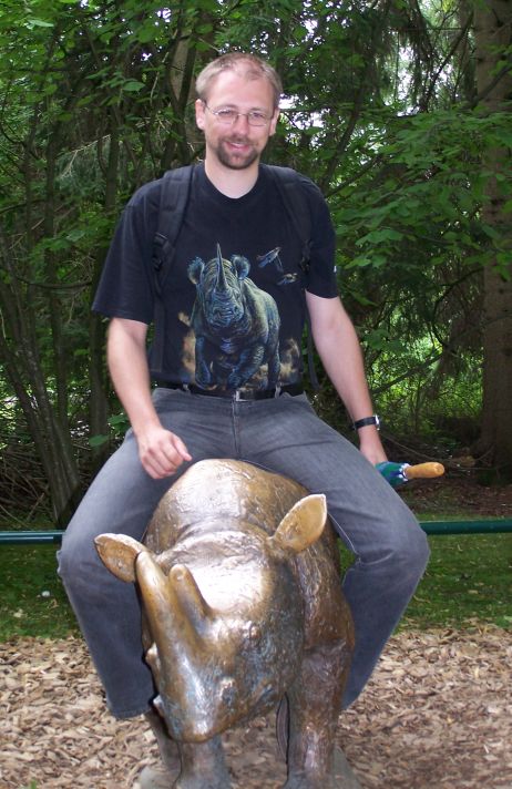 Drei kurzsichtige Rhinos
